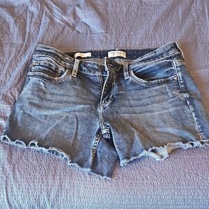Vigoss Blue Denim Frayed Shorts